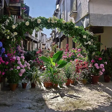 Turisticos Mirayuste